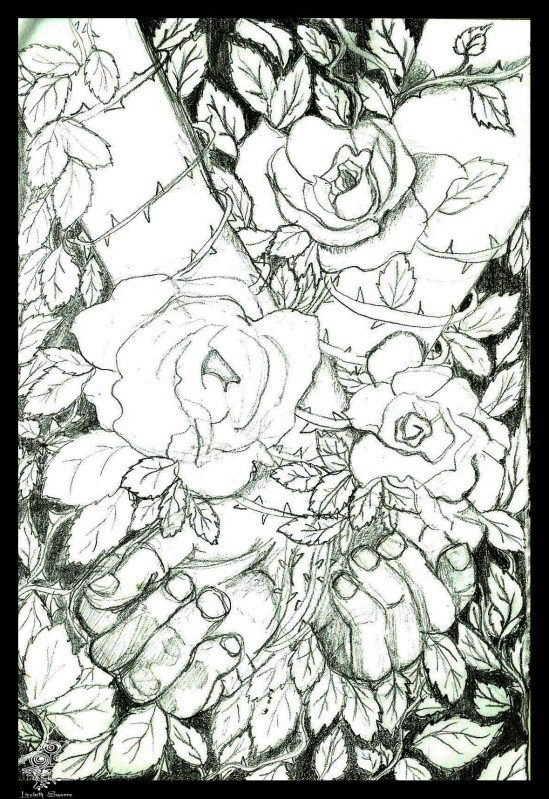 This is the drawing I saw in my idea drawing dream. Copyrighted by Liesbeth Swenne