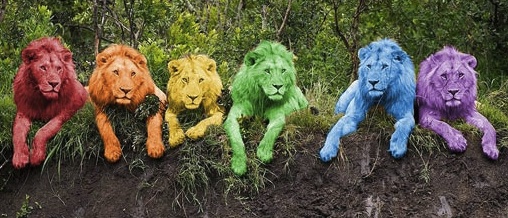 rainbow-lions